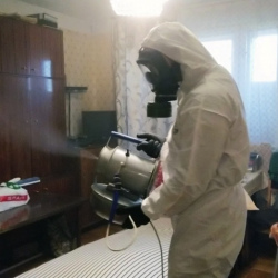Дезинфекция от клопов в Лихославле